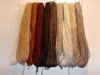 Yarn spun from alpaca wool