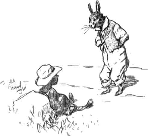 Brer Rabbit